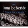 2008 Bodegas Y Vinedos Luna Beberide Finca La Cuesta Bierzo - click image for full description