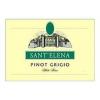 2009 Sant Elena Pinot Grigio Venezia Giulia - click image for full description