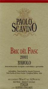 2018 Scavino Barolo Bric Del Fiasc Magnum - click image for full description