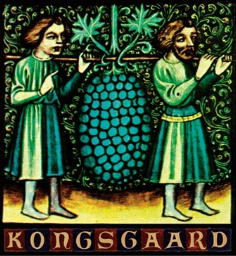 2015 Kongsgaard Chardonnay Napa image