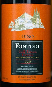 2021 Fontodi Chianti Classico Dino Amphora image