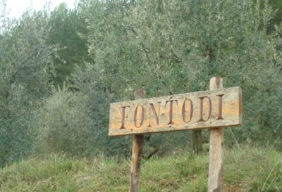 2008 Fontodi Pinot Nero Tuscany image