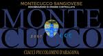 2007 Ciacci Piccolomini Blanchini Montecucco image