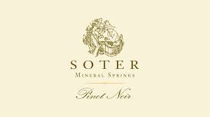 2011 Soter Mineral Springs Pinot Noir Yamhill-Carlton image