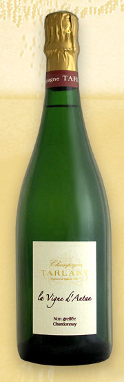 NV Tarlant Champagne La Vigne d'Antan Non Greffee Chardonnay image