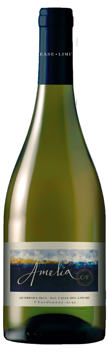 2023 Concha Y Toro Chardonnay Amelia Casablanca image