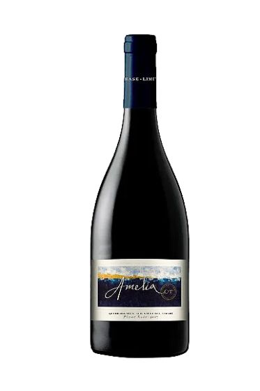 2022 Concha y Toro Amelia Pinot Noir, Limari Valley, Chile image