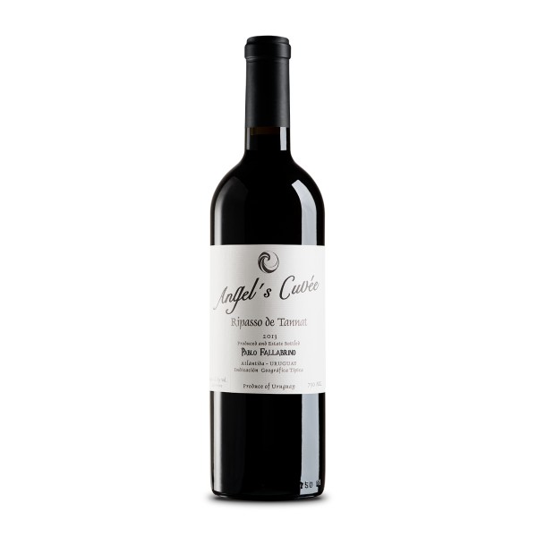 2007 Pablo Fallabrino - Vinedo de los Vientos Angel's Cuvee Ripasso de Tannat, Canelones, Uruguay image