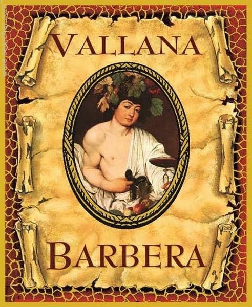 2017 Antonio Vallana Barbera image