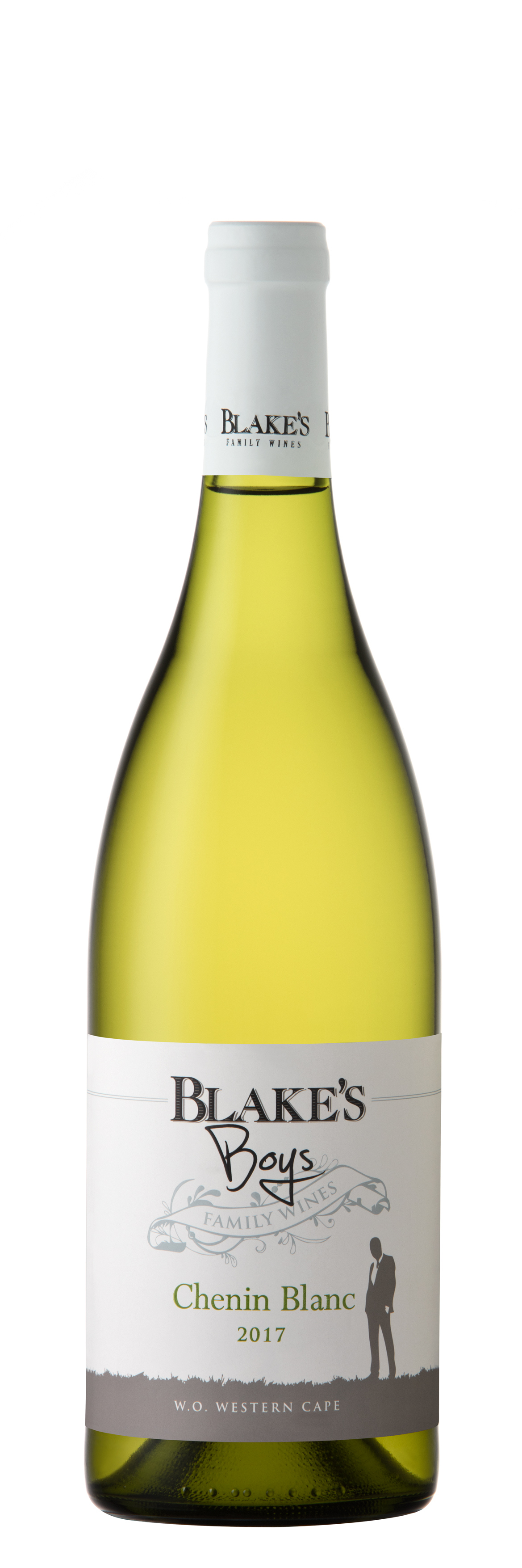 2017 Blake's Boys Chenin Blanc Western Cape image