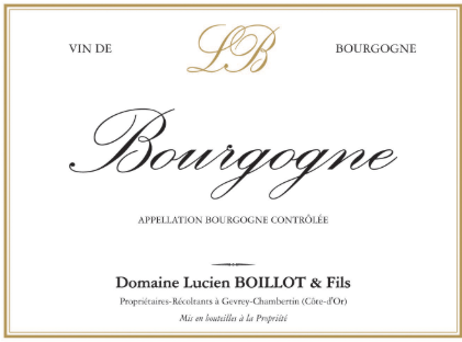 2021 Domaine Lucien Boillot & Fils Bourgogne Rouge image