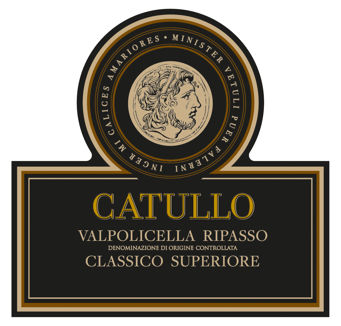 2020 Bertani 'Catullo' Valpolicella Ripasso Classico Superiore Veneto, Italy - click image for full description