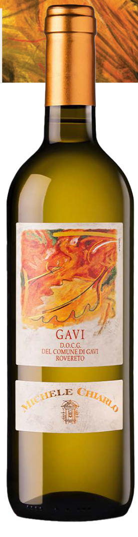 2023 Michele Chiarlo Rovereto Gavi del Comune di Gavi DOCG Magnum (1.5L) image