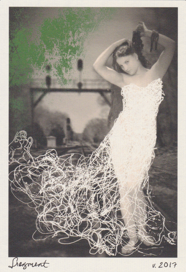 2019 Desparada Fragment Sauvignon Blanc California image