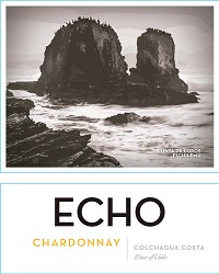2017 Echo Chardonnay Colchagua image