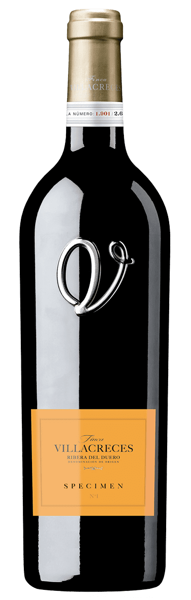 Finca Villacreces Specimen Number 3 Ribera del Duero, Spain - click image for full description