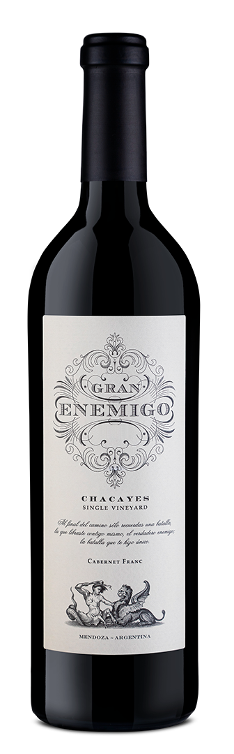 2018 Bodega Aleanna 'Gran Enemigo' Chacayes Single Vineyard Cabernet Franc Tunuyan, Argentina image