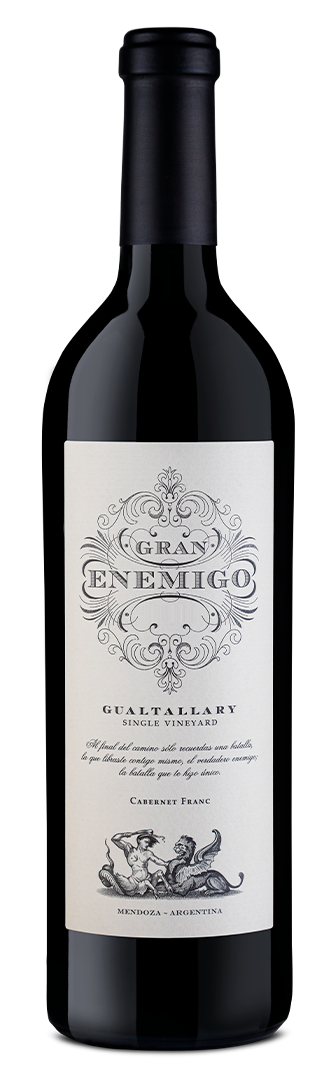 2019 Bodega Aleanna 'Gran Enemigo' Agrelo Single Vineyard Cabernet Franc Mendoza, Argentina image