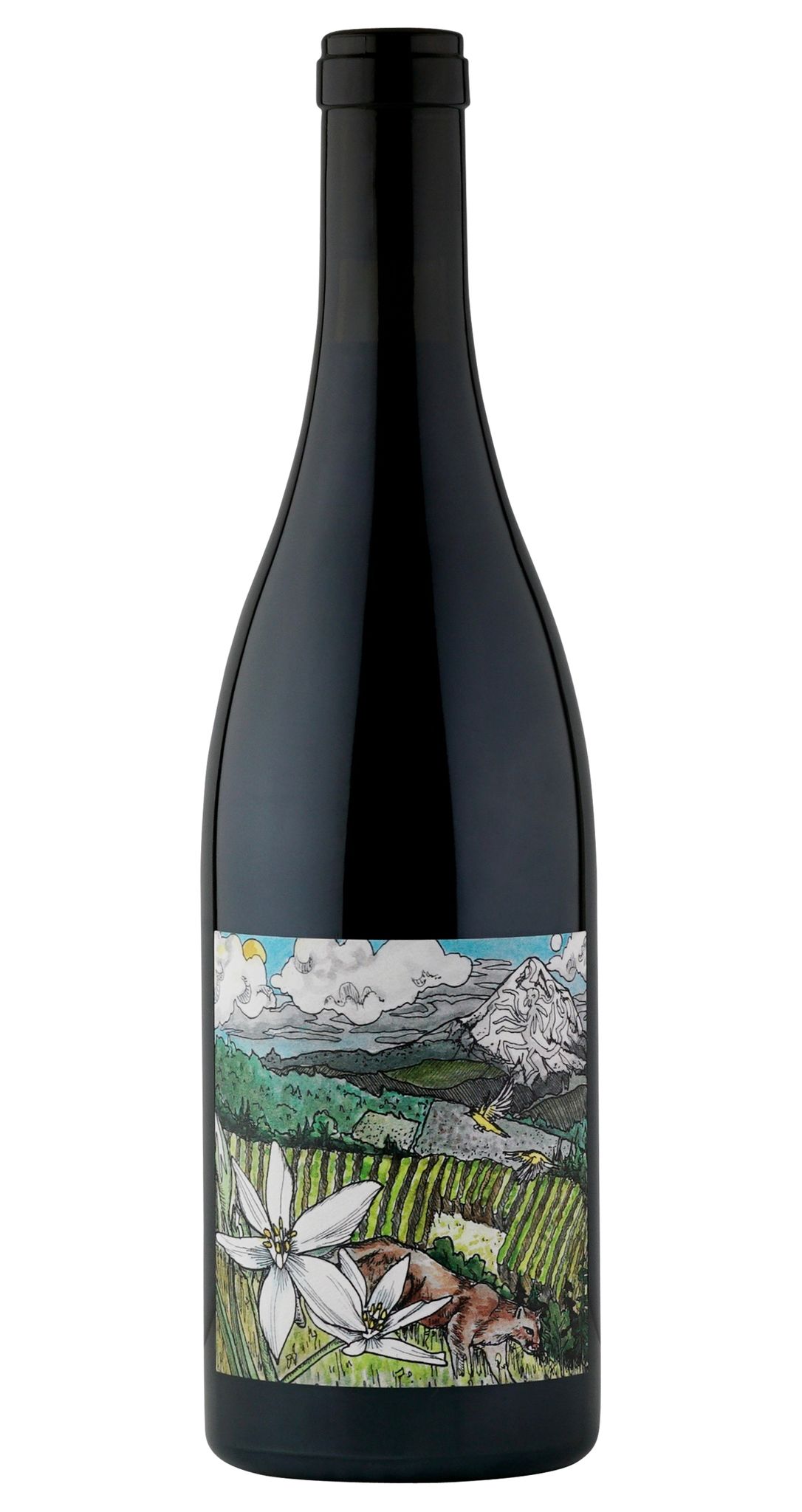 2024 Kelley Fox Wines Pinot Noir Mirabai Vineyard McMinnville image