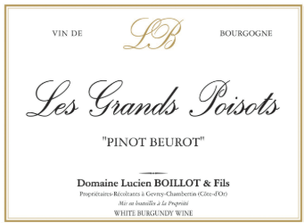 2023 Domaine Lucien Boillot & Fils Bourgogne Les Grands Poisots En Souvenir du Beurot image