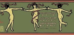 2023 Merry Edwards Sauvignon Blanc Russian River Valley image