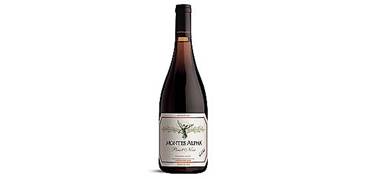 2017 Montes Alpha Pinot Noir Aconcagua Valley, Chile - click image for full description