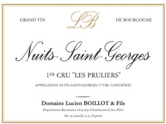 2021  Domaine Lucien Boillot & Fils Les Pruliers Nuits-Saint-Georges Premier Cru image