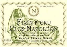 2003 Domaine Pierre Gelin Clos Napoleon Monopole Fixin Premier Cru (MAGNUM) image