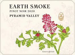 2020 Pyramid Valley Vineyards 'Earth Smoke' Pinot Noir Canterbury New Zealand image