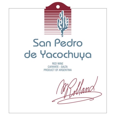 2019 San Pedro de Yacochuya Malbec Cafayate Valley - click image for full description
