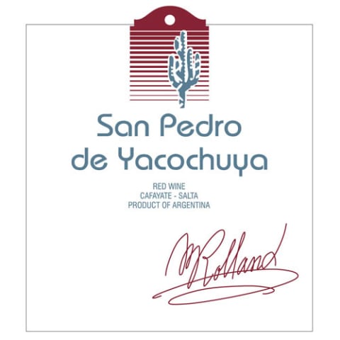 2021 San Pedro de Yacochuya Cabernet Malbec Blend Cafayate Valley image