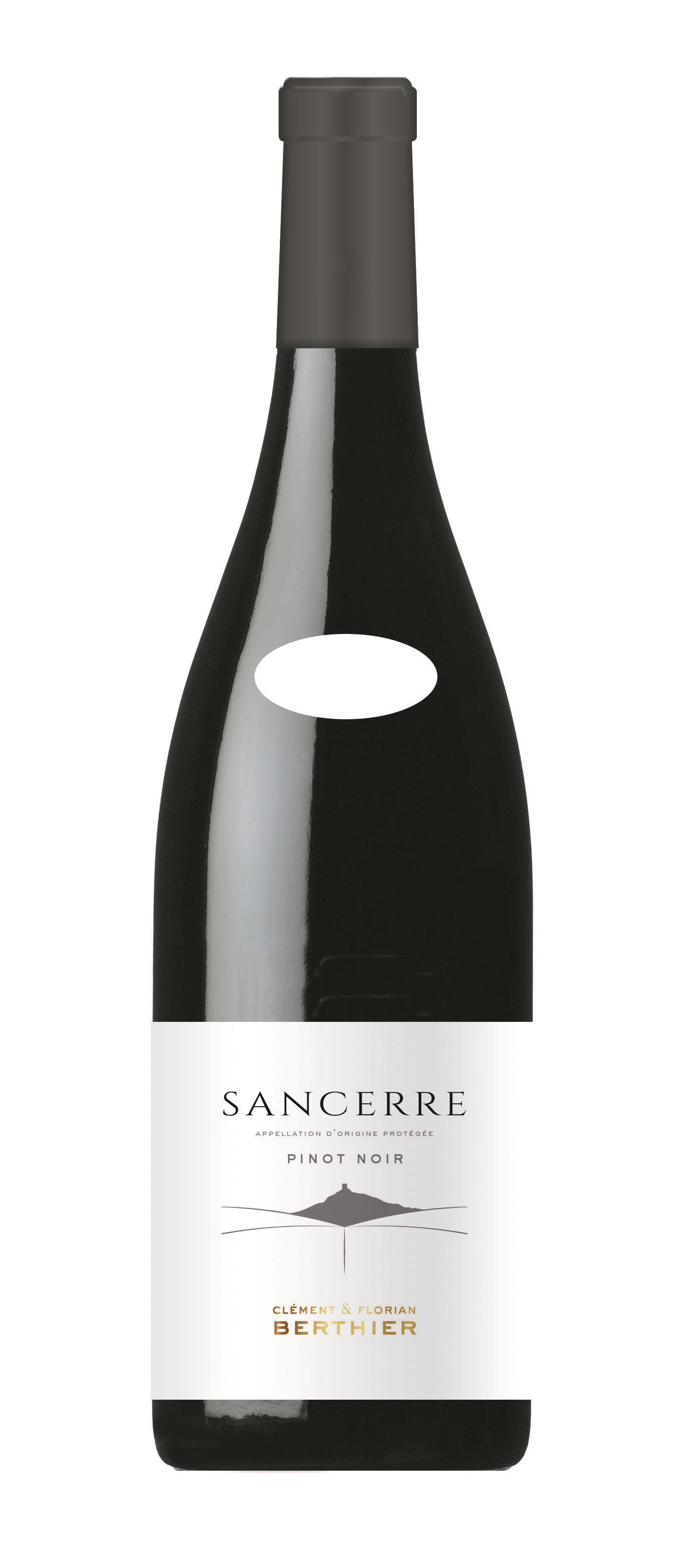 2022 Clement & Florian Berthier Sancerre Rouge image