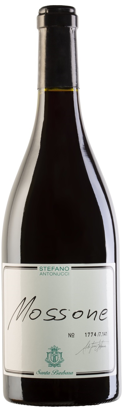 2019 Santa Barbara Mossone Merlot Marche image