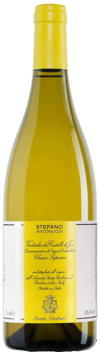 2021 Santa Barbara Verdicchio dei Castelli di Jesi DOC Classico Superiore image