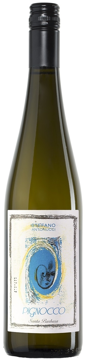 2021 Santa Barbara Verdicchio dei Castelli di Jesi DOC Pignocco image