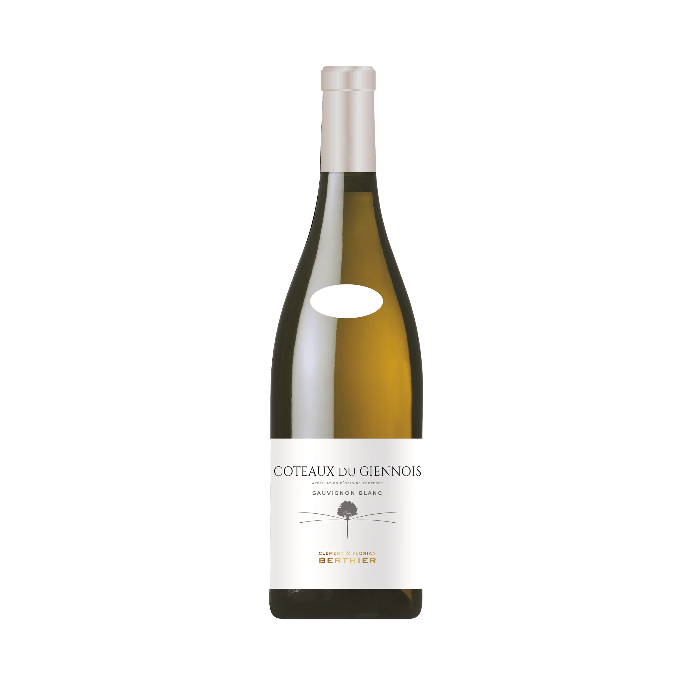 2022 Clement & Florian Berthier Coteaux du Giennois Sauvignon Blanc image