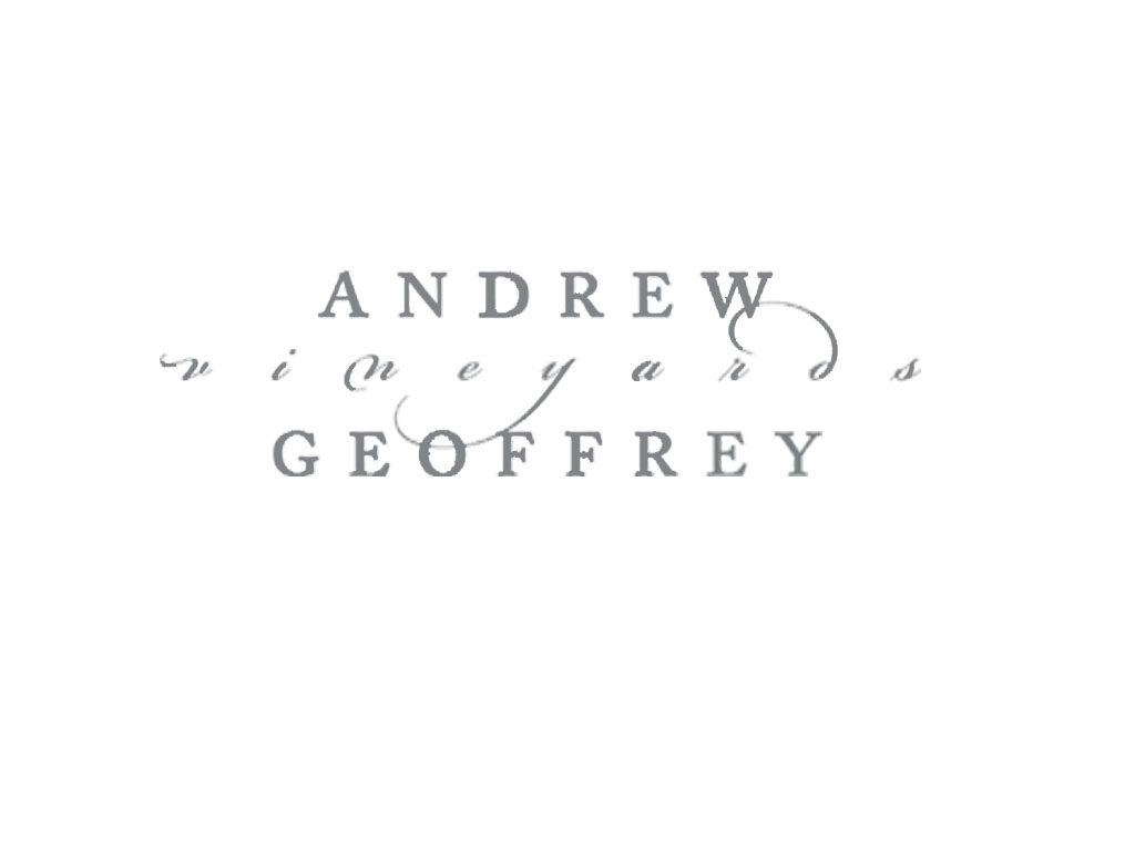 2011 Andrew Geoffrey Cabernet Sauvignon Diamond Mountain image
