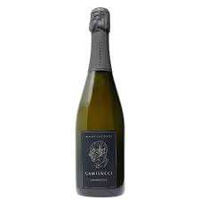 2010 Stefano Camilucci Franciacorta Riserva Brut Nature Italy image