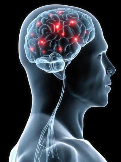 http://images.sciencedaily.com/2011/03/110316084425_1_900x600.jpg