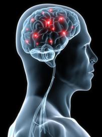 A side view of a person's head with a brain and red dots AI-generated content may be incorrect.