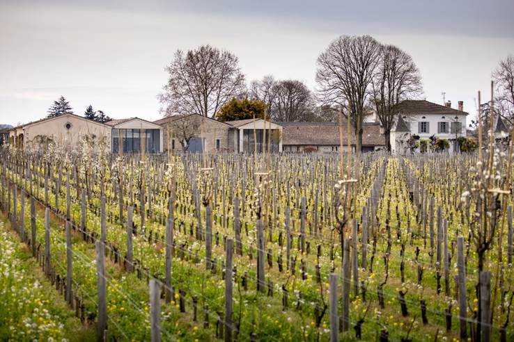 Château Quinault L'Enclos • Château Cheval Blanc • Saint-Émilion
